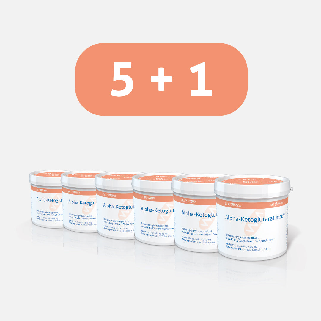 Alpha-Ketoglutarat mse®