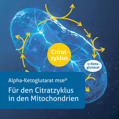 Alpha-Ketoglutarat mse®