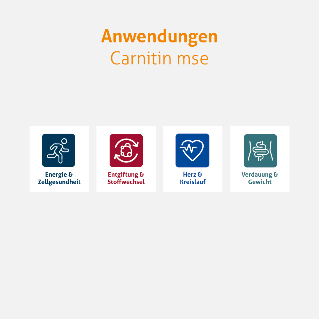 Carnitin mse