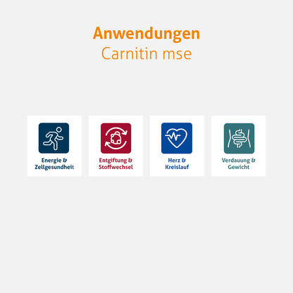 Carnitin mse