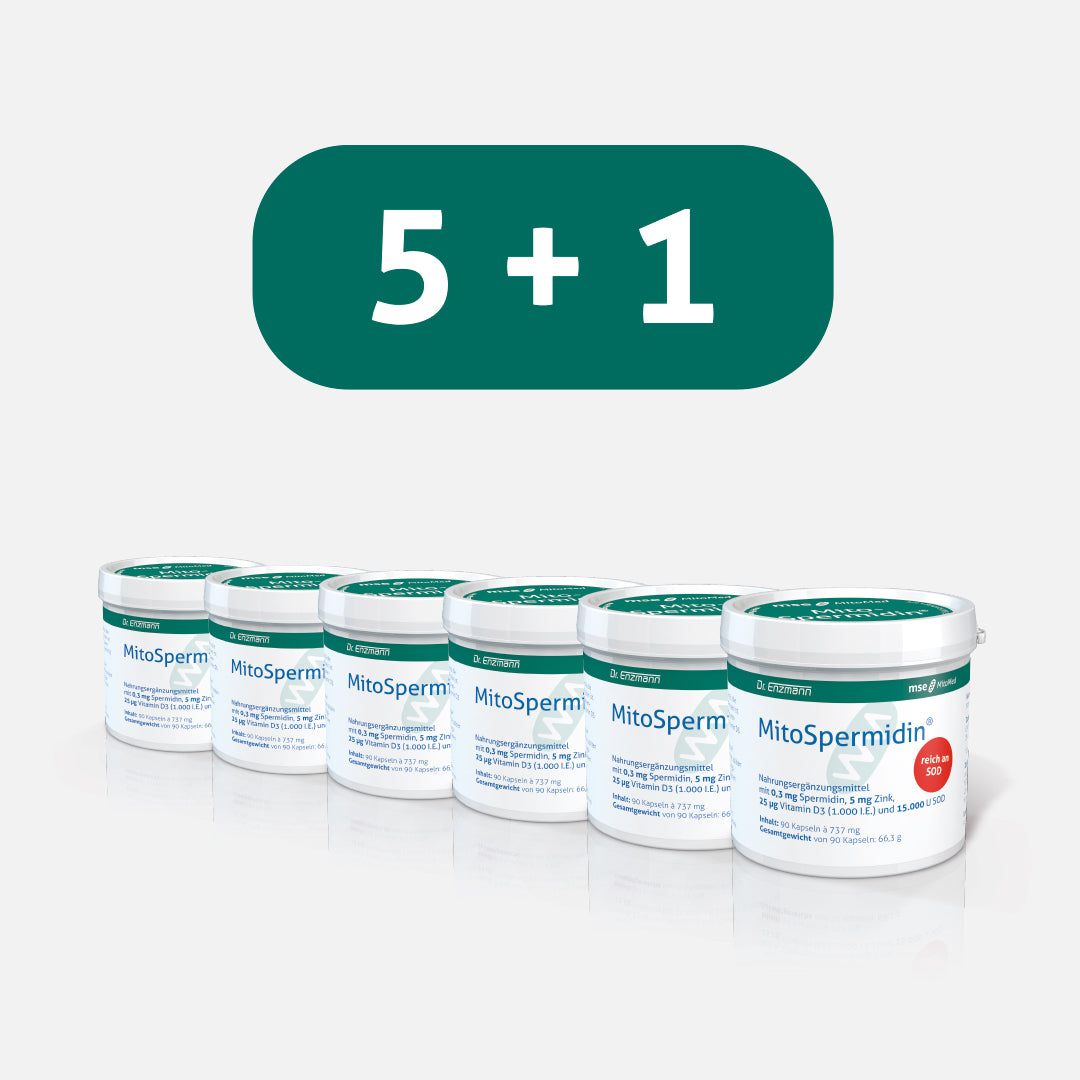 MitoSpermidin®
