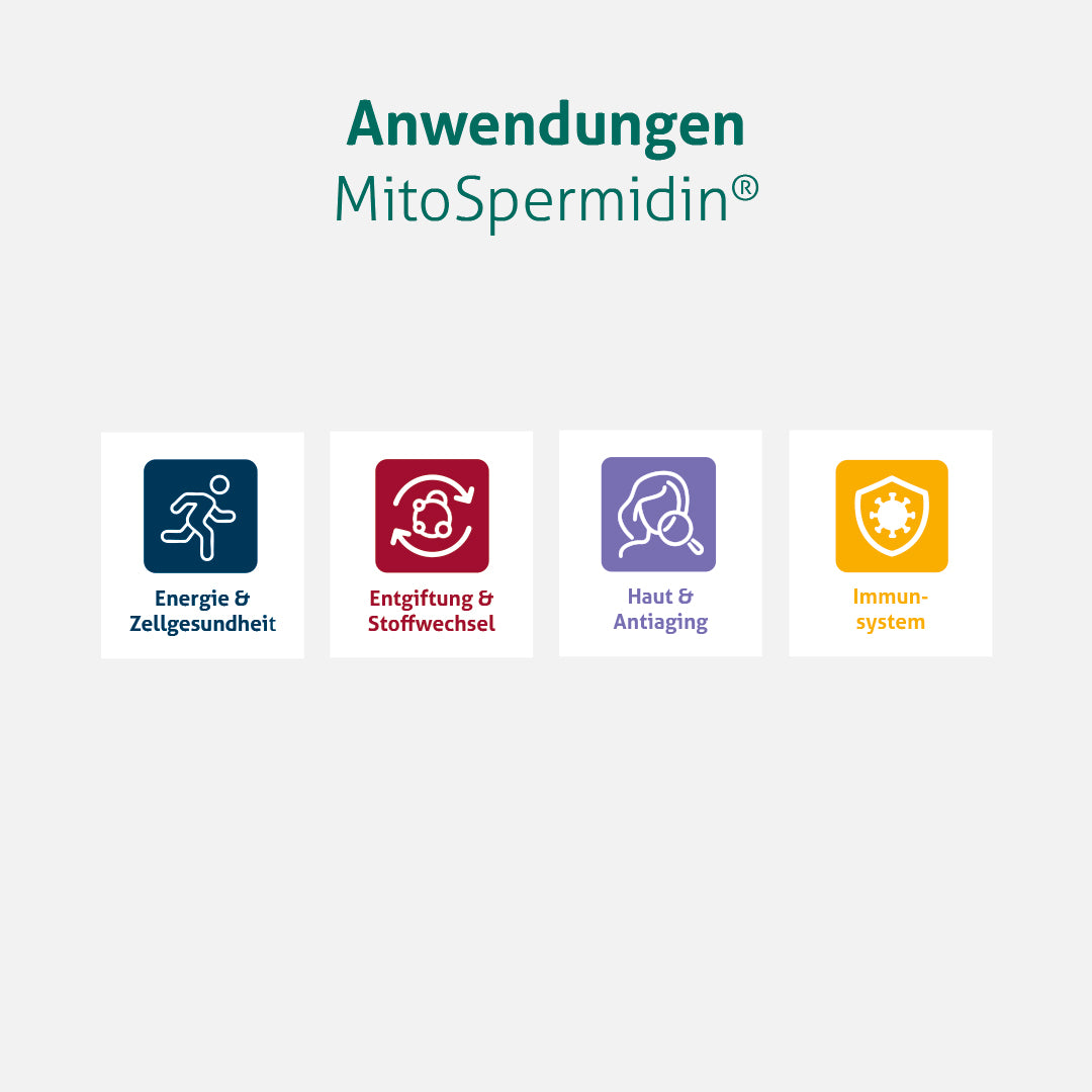 MitoSpermidin®