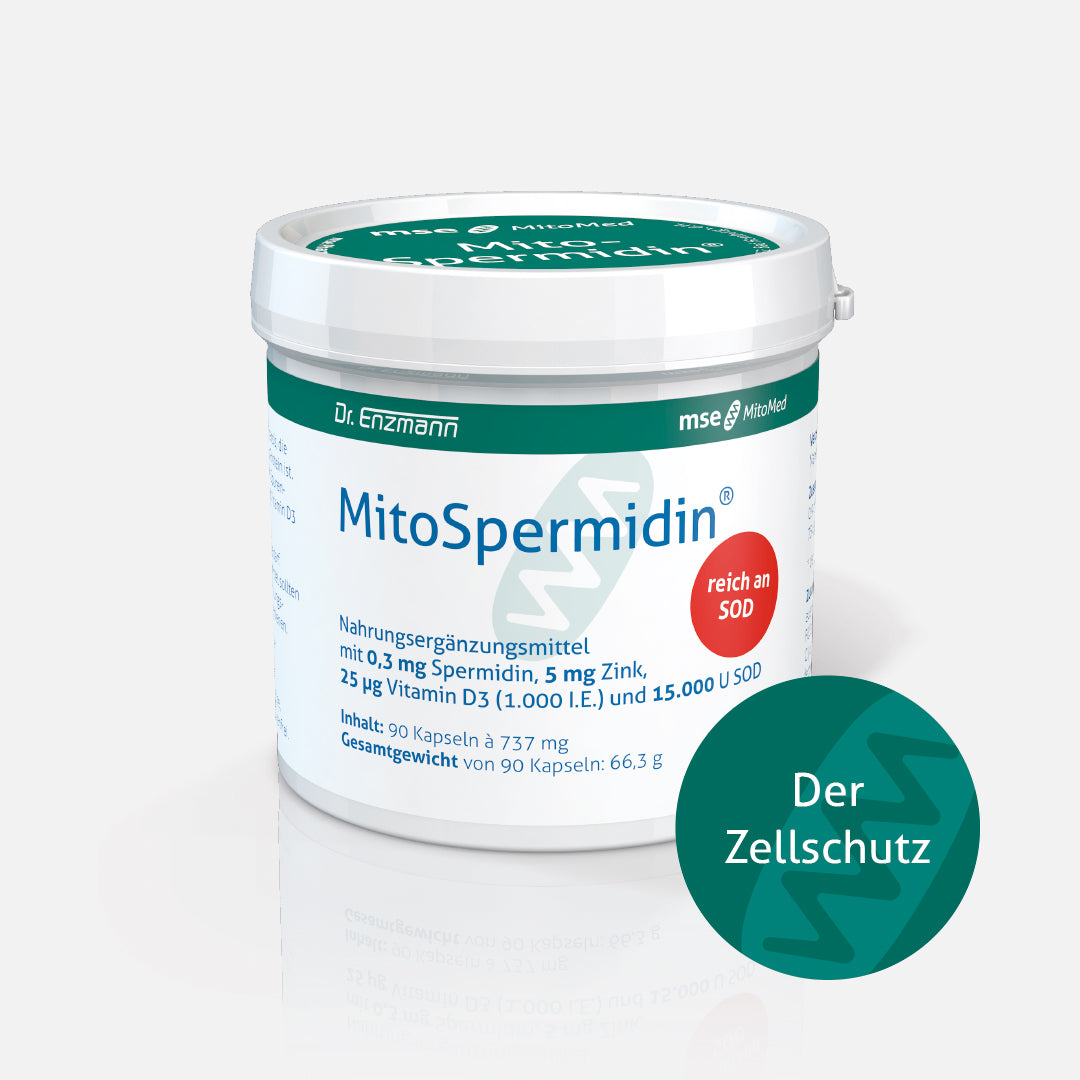 MitoSpermidin®