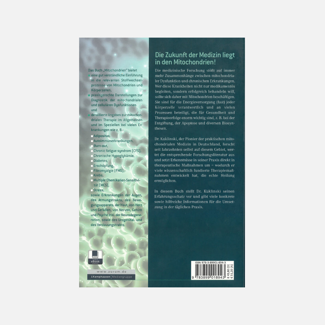Mitochondrien – Symptome, Diagnose und Therapie