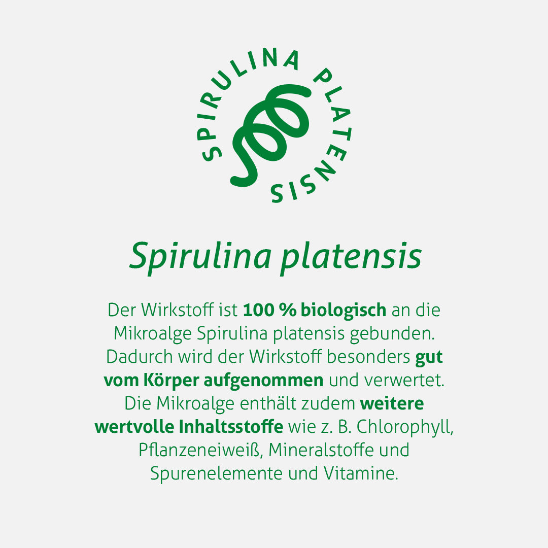 MitoSpermidin®